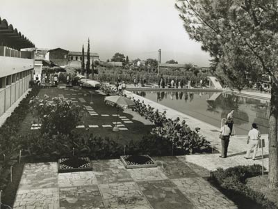 Garden Niccolai Lorenzo - Realizzazione Giardini